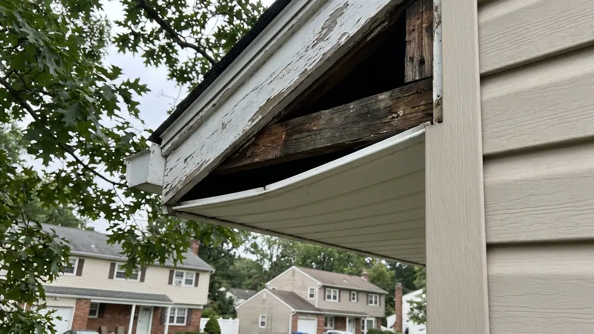 Close-up of a house eave where a vinyl soffit panel has slipped out of its channel, leaving a dark gap under a weathered fascia board, with out-of-focus leafy branches behind