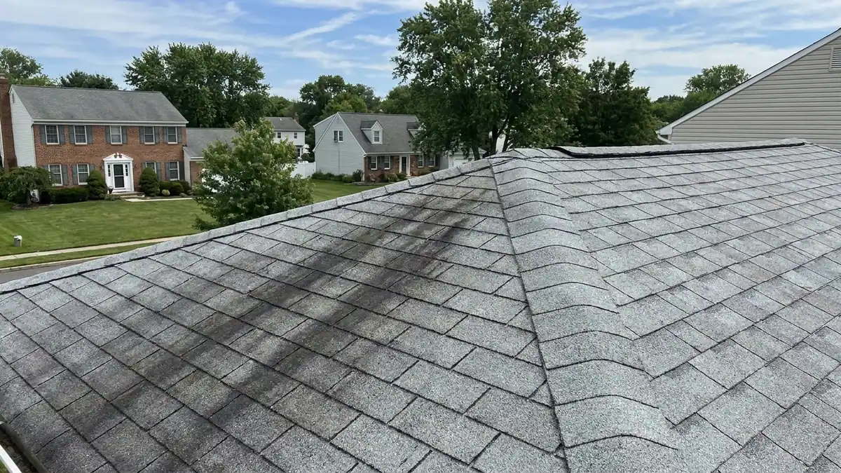 Asphalt shingle roof slope in sunlight with dark vertical algae streaks running down from the ridge, granule texture visible against blue sky