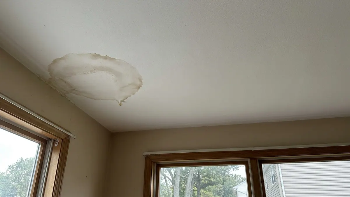 Interior ceiling corner with a brown water stain ring spreading across white drywall and a small drip forming, lit by soft daylight