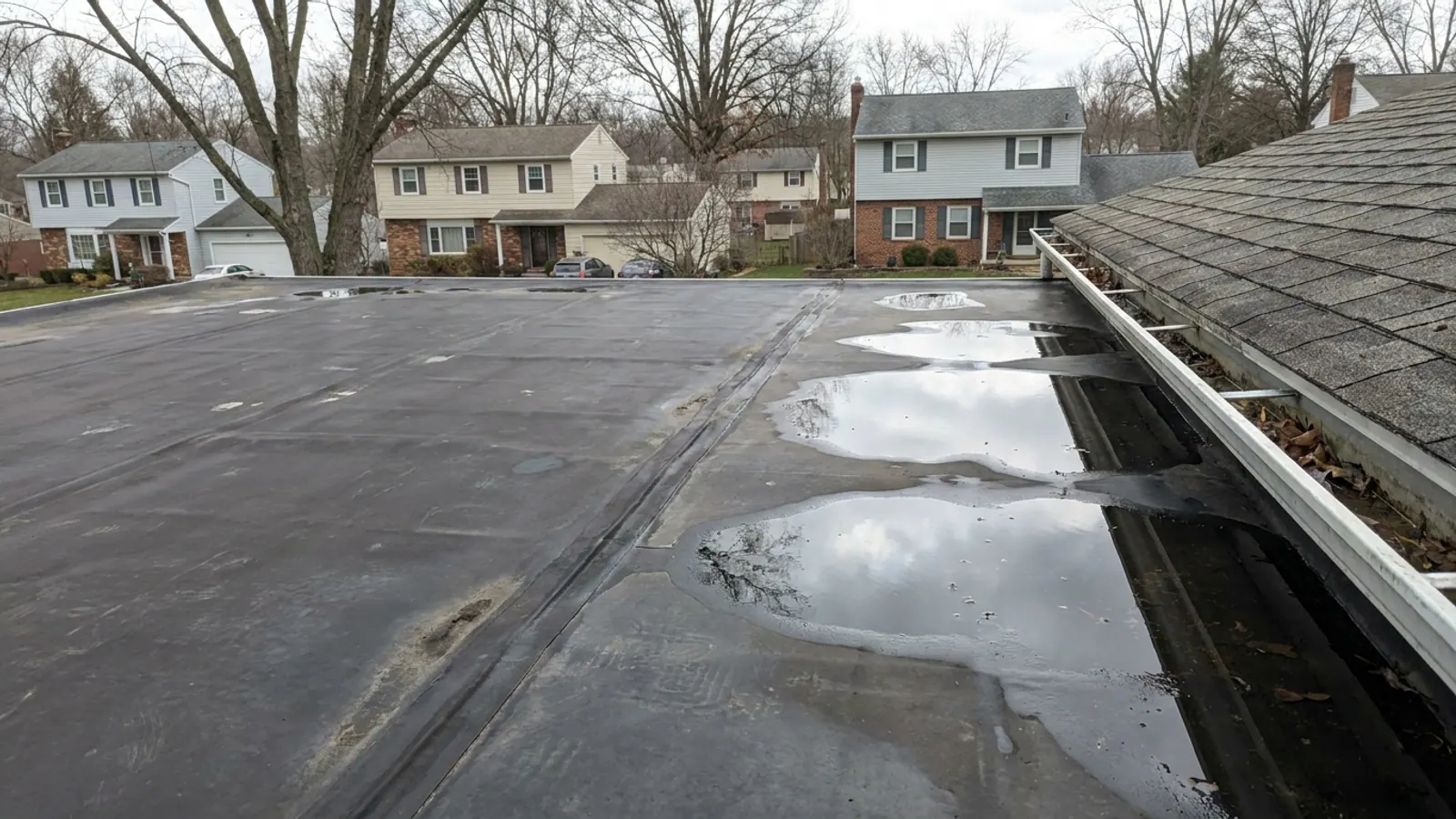 View looking down from a second-story window onto a flat low-slope porch roof with a dark rubber membrane, a seam running across it, ponded water reflecting the sky, an adjoining shingled slope and a white gutter at the edge in bright overcast light