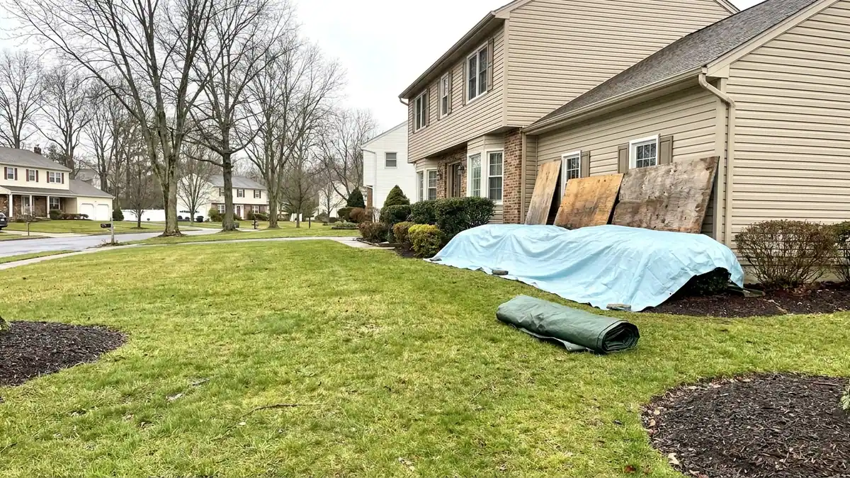 Foundation shrubs and a flower bed alongside a house covered with protective tarps and sheets of plywood leaning against the wall
