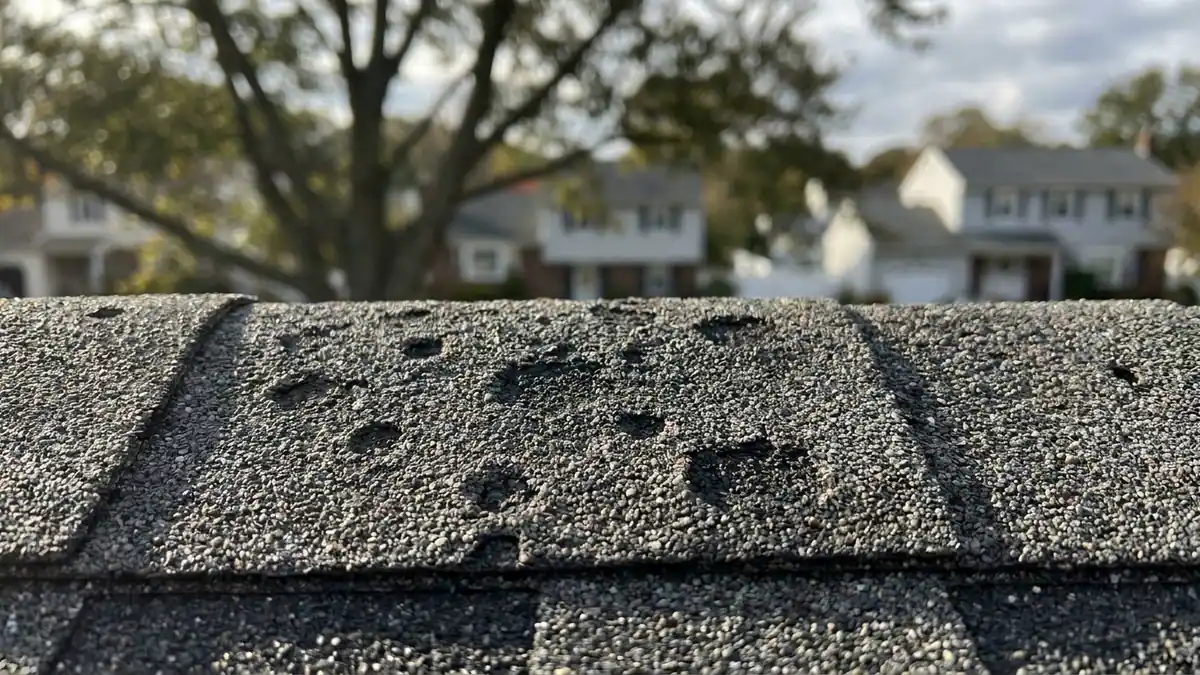 Close-up of a weathered gray architectural asphalt shingle in raking sunlight showing small round pockmarks where granules are missing and dark asphalt is exposed