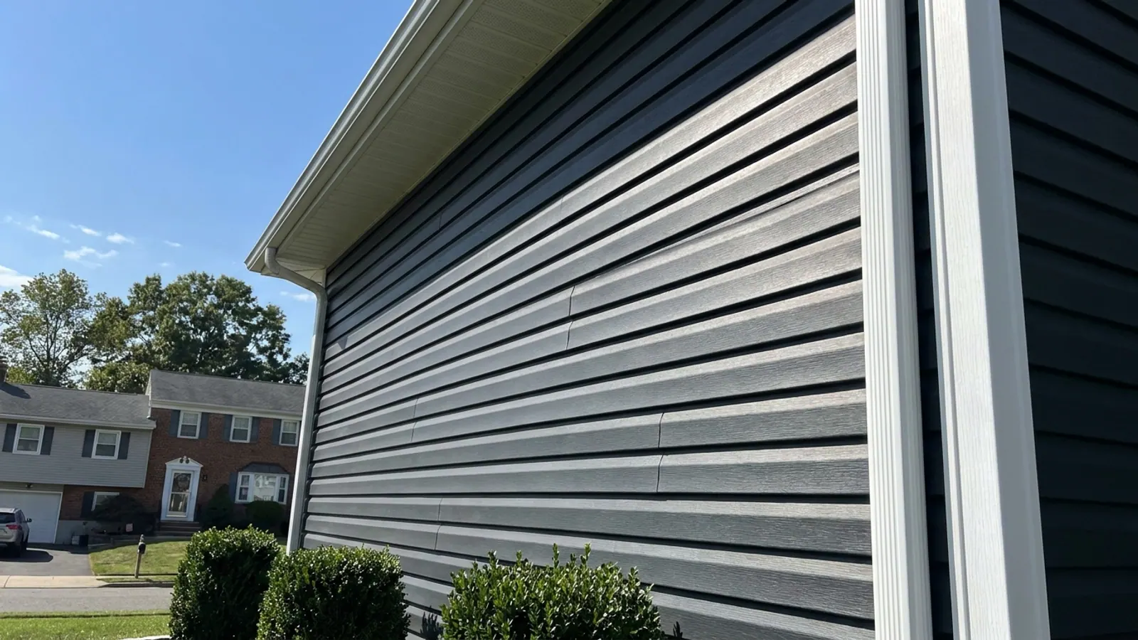Charcoal vinyl siding panels beside a white corner post and trim in strong direct sunlight, with boxwood tops at the bottom of the frame and clear blue sky above